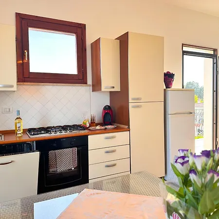 Pula's Nest 2 - Peace In *