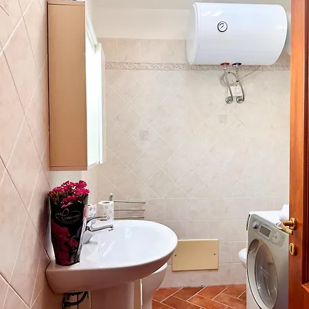 Pula's Nest 2 - Peace In *